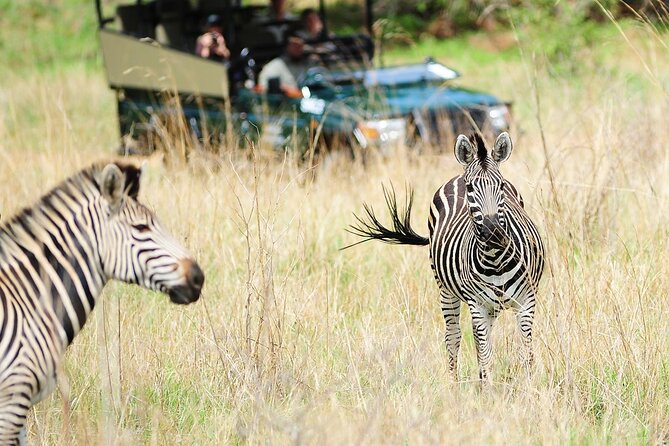 Small Group: Zambezi National Park Guided Game Drive - Should You Book the Zambezi National Park Drive?