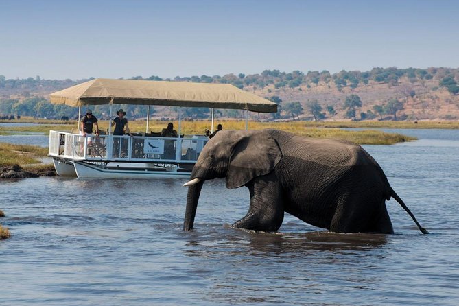 Standard Sunset Cruise - Key points to know before booking