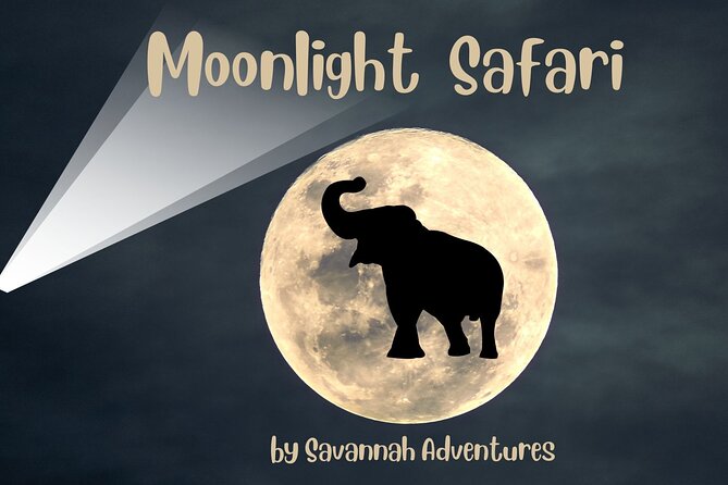 Stargazing and Moonlight Experience - Key points to know before booking