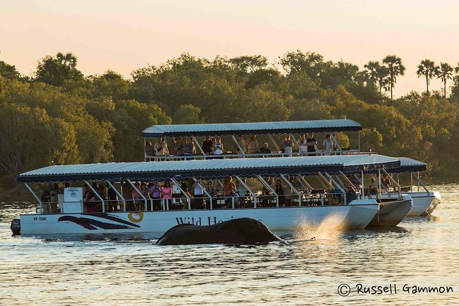 Sundowner Cruise on Zambezi River (Zimbabwe) - Key points to know before you book