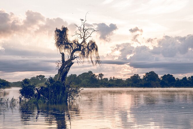 Sunrise Cruise on the Zambezi River - What the two-hour duration really gives you