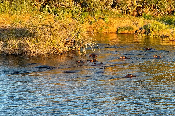 Sunset Cruises on the Zambezi River from Victoria Falls - A Ndebele welcome before boarding