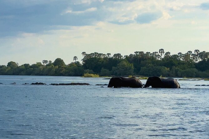 Sunset Cruises on the Zambezi River from Victoria Falls - Sunset, snacks, and the onboard bar