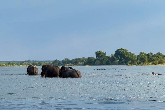 Sunset Cruises on the Zambezi River from Victoria Falls - Is $49 good value?