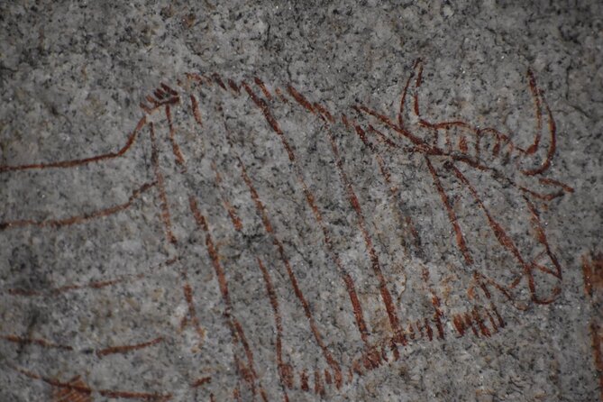 The Best of Matobo - What the small group and included extras are worth