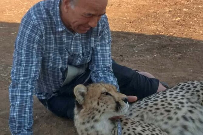 The Cheetah Experience - Key points to know before you book