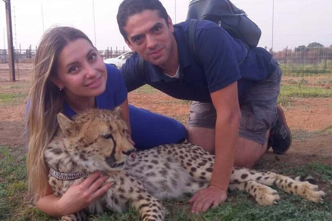 The Cheetah Experience - Learning why cheetahs need help