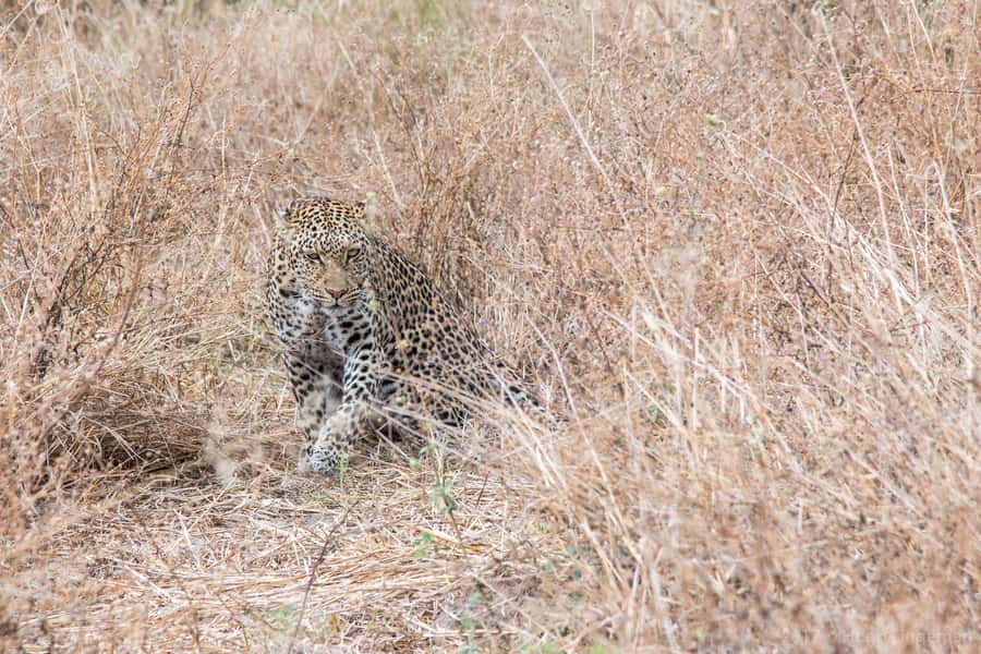 Three Day Camping Safari Chobe - Who Will Enjoy This Safari Most