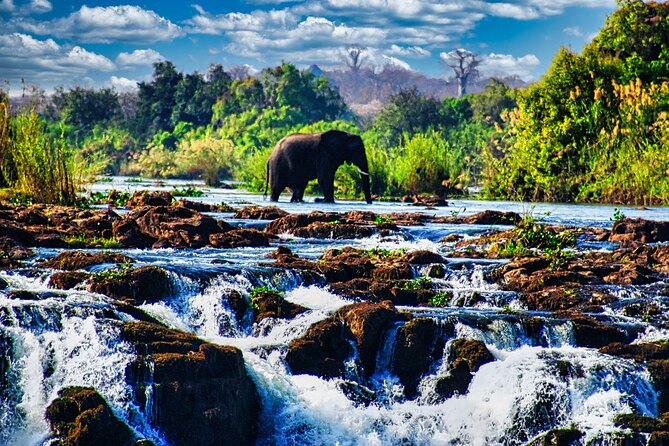 Unique Safari Game Drives in Zambezi National Park, 4 Options - Key things to know before booking
