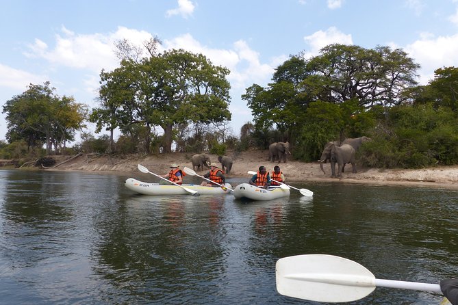 Upper Zambezi Canoeing - Key points at a glance