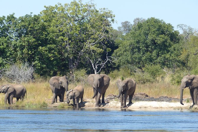 Upper Zambezi Canoeing - From Victoria Falls to the Zambezi National Park gate