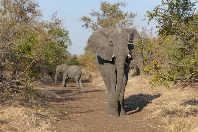 Upper Zambezi Canoeing - Returning to Victoria Falls by about 2:00