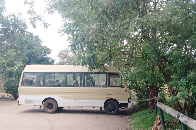 VFA Victoria Falls Airport One Way Transfers - Help Beyond the Initial Airport Ride