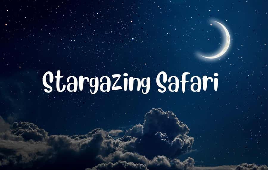 VicFalls: Stargazing Moonlight Safari with 4x4 (GB-F-ES-D) - Key points to know before you book