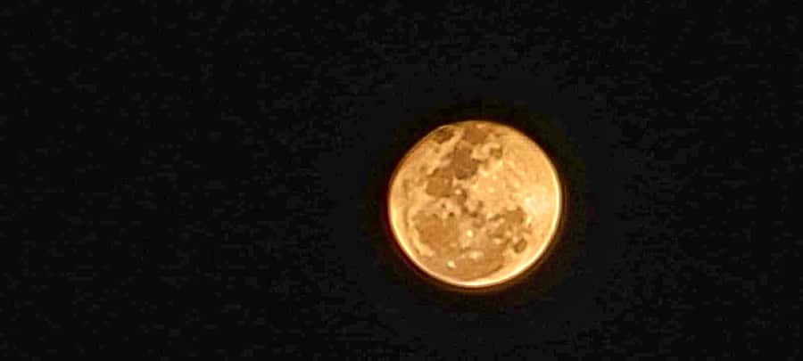 VicFalls: Stargazing Moonlight Safari with 4x4 (GB-F-ES-D) - Is $95 a good price?