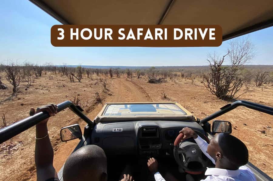 Victoria Falls: 3 Hour Safari Drive in Zambezi NP<em> D-F-ES-GB – Key points before you book’ /></p>
<ul>
<li><strong>The morning drive starts at 6:00 a.m.</strong>, giving you an early chance at cooler temperatures and less activity on the park roads.</li>
<li><strong>An open four-wheel-drive vehicle</strong> gives you a broad view of the bush and better chances to spot movement in the grass and trees.</li>
<li><strong>The Zambezi River is part of the experience</strong>, with riverbank viewing sites, shady Natal mahogany trees, and more than 75 fish species in the river.</li>
<li><strong>A light breakfast is included on morning trips</strong>, with muffins, fruit, hard-boiled eggs, tea, coffee, and mineral water.</li>
<li><strong>The $119 price does not include the national park fee</strong>, which is listed as $15 for international visitors and $5 for Zimbabweans.</li>
<li><strong>Rain can change the day</strong>, since the park may close after heavy rain and wildlife may spread out when conditions turn wet.</li>
</ul>
<h2 id="what-this-victoria-falls-safari-actually-feels-like">What this Victoria Falls safari actually feels like</h2>
<p><img width="900" height="675" decoding="async" src=