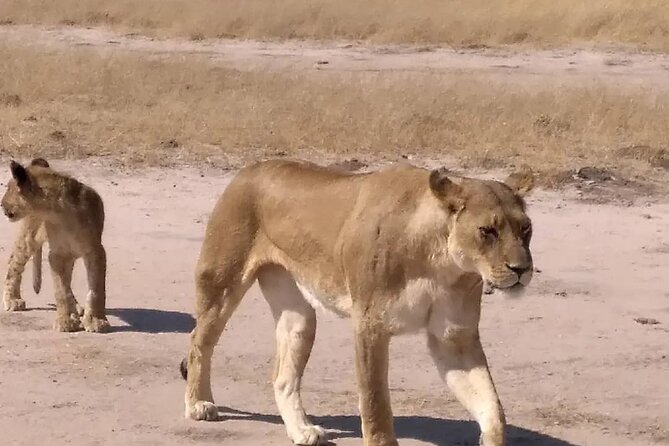 Victoria Falls And Chobe - Accommodation and meals: practical, but confirm the details