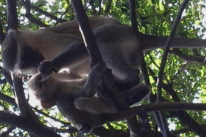 Victoria Falls And Chobe - Day one: a gentle start on the water