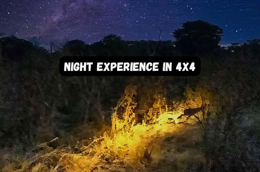 Victoria Falls: Bush Experience and Stargazing D-F-ES-GB - Key points to know before you book