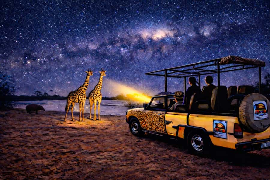 Victoria Falls: Bush Experience and Stargazing D-F-ES-GB - Why a night safari feels different in Victoria Falls