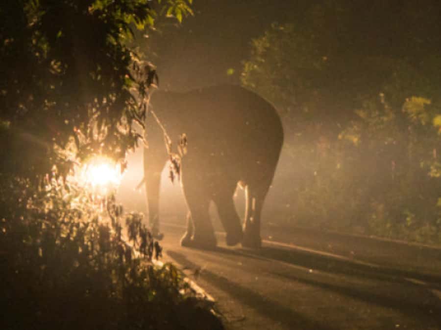 Victoria Falls: Bush Experience and Stargazing D-F-ES-GB - The Star Viewer jeep and the African night sky
