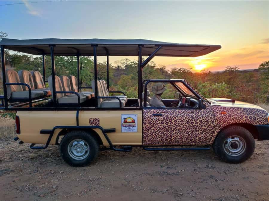 Victoria Falls: Bush Experience and Stargazing D-F-ES-GB - What the guide adds to the evening