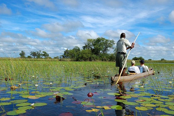 Victoria Falls, Chobe and Okavango Delta 7 nights trip - Three famous places in one compact trip