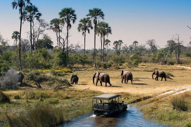 Victoria Falls, Chobe and Okavango Delta 7 nights trip - Day 2: Victoria Falls, vultures, and The Boma