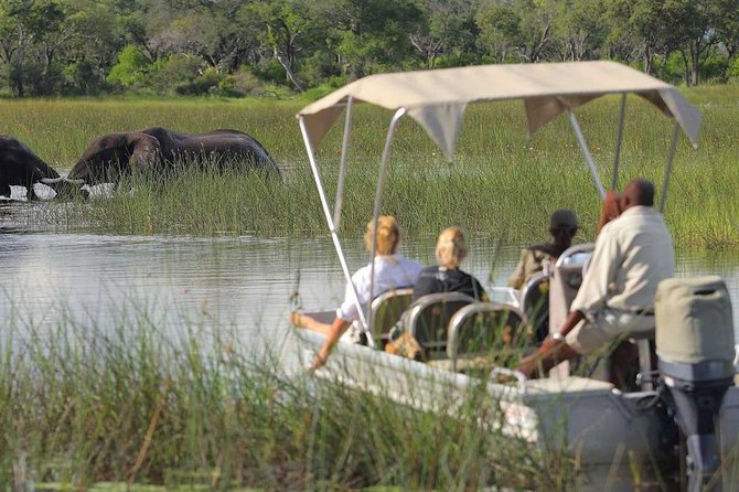 Victoria Falls, Chobe and Okavango Delta 7 nights trip - Days 3 and 4: Two different views of Chobe National Park