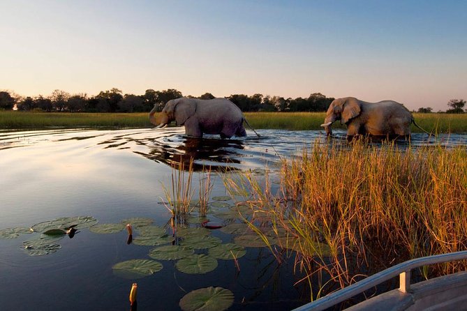 Victoria Falls, Chobe and Okavango Delta 7 nights trip - Day 5: Kazungula Bridge and a local village