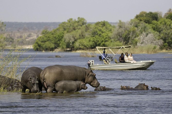 Victoria Falls, Chobe and Okavango Delta 7 nights trip - Day 7: The Okavango Delta by mokoro and on foot