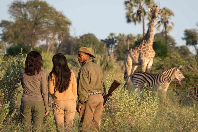 Victoria Falls, Chobe and Okavango Delta 7 nights trip - Day 8: Breakfast, checkout, and departure from Maun
