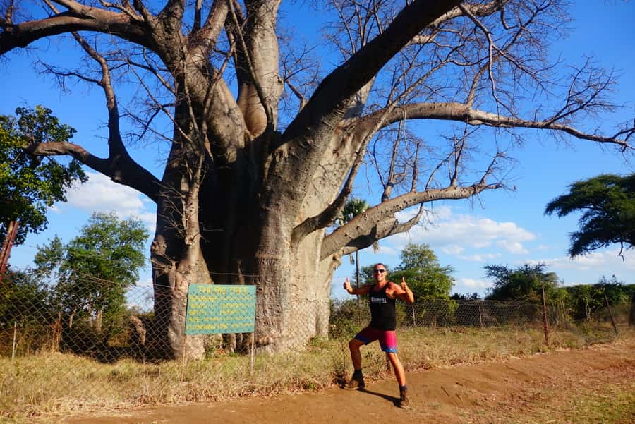 Victoria Falls: Cultural Tour with High Tea - Township life, markets, and local crafts