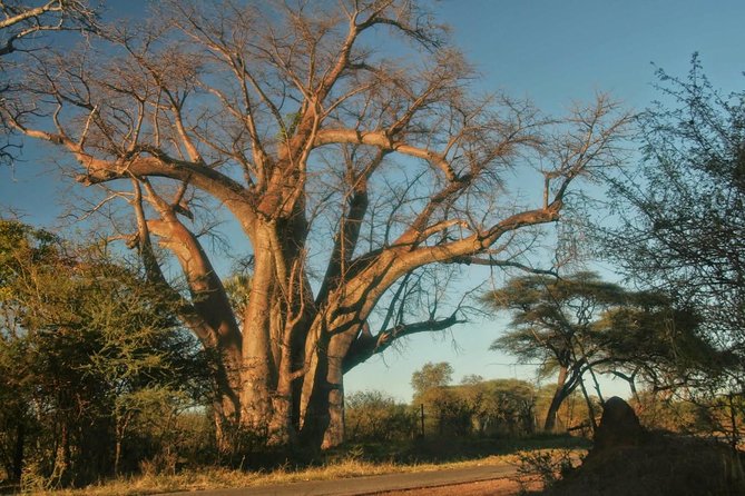 Victoria falls Day Trip in Zimbabwe from Livingstone (Zambia) - Walking around Victoria Falls for three hours