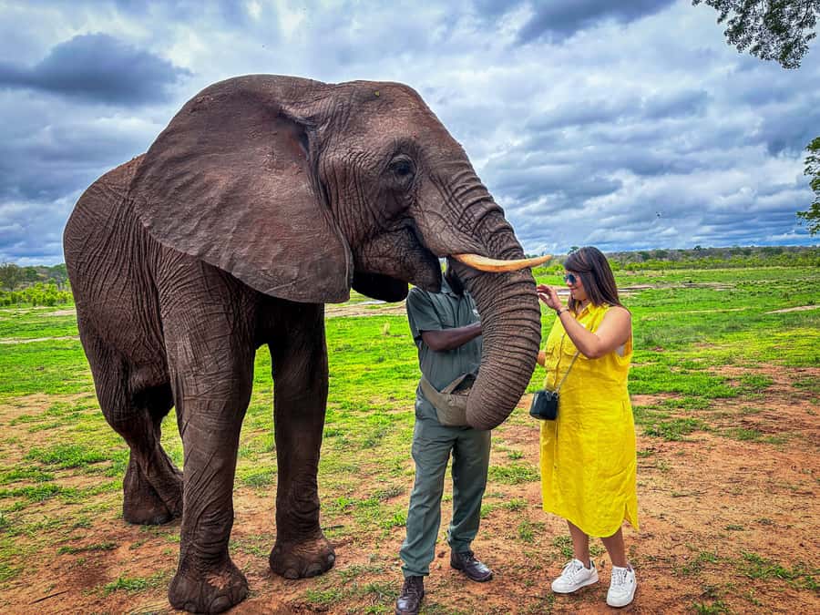 Victoria Falls: Elecrew Through The Eyes Of An Elephant - Key points to know before you book