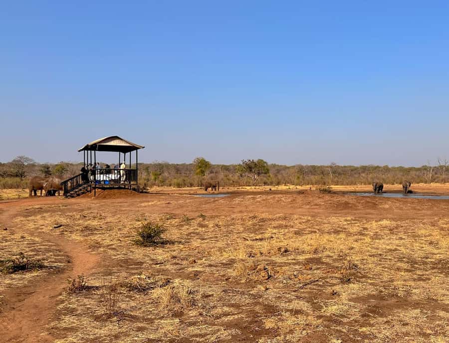 Victoria Falls: Elecrew Through The Eyes Of An Elephant - What the conservation message means for your money