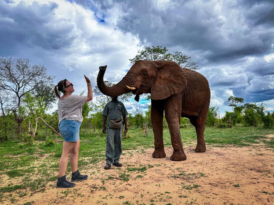 Victoria Falls: Elecrew Through The Eyes Of An Elephant - The 15-minute transfer from Victoria Falls