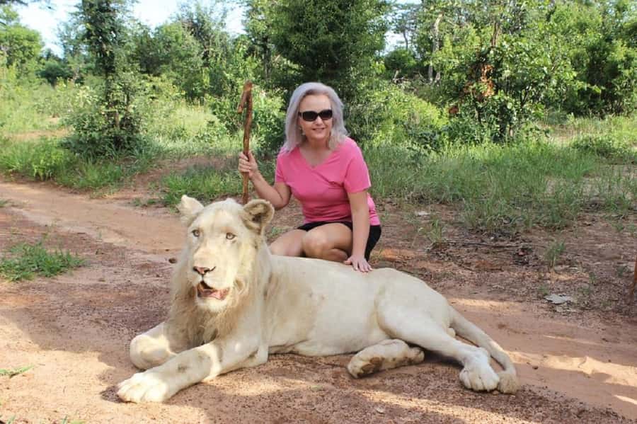 Victoria Falls: Elephant, Lion, and Cheetah Encounter - Three hours with lions, elephants, and cheetahs
