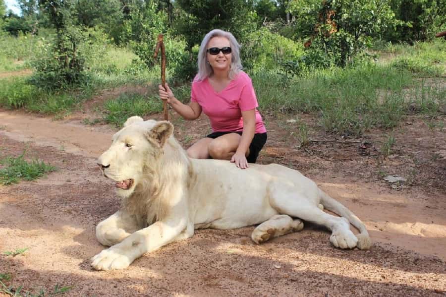 Victoria Falls: Elephant, Lion, and Cheetah Encounter - Animal welfare and the close-contact question