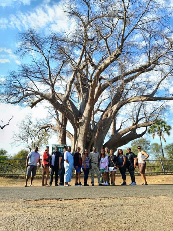 Victoria Falls Full Day Experience - A 2,000-year-old baobab in half an hour