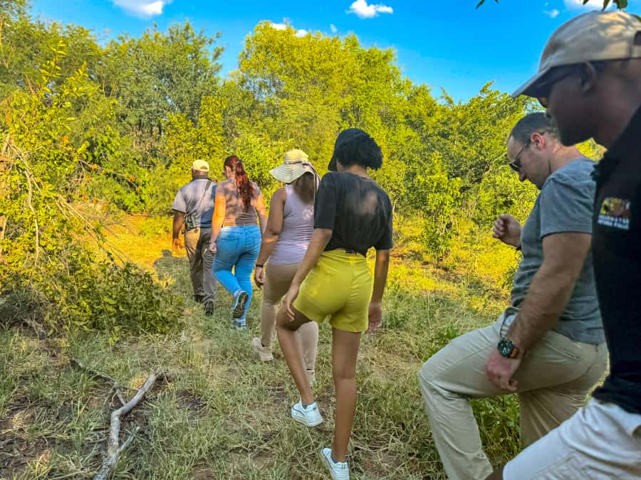Victoria Falls: Game Walk in the Zambezi National Park - Key details before you book
