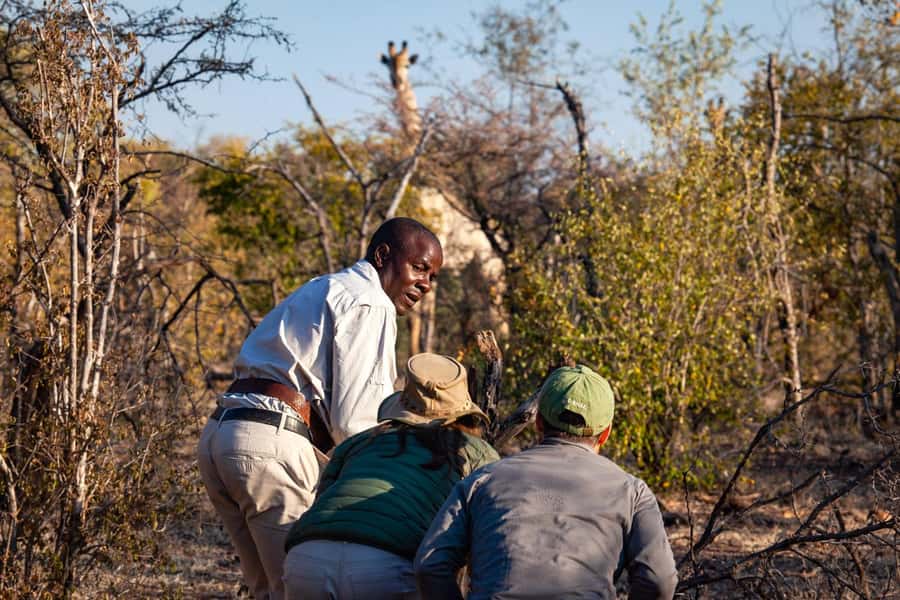 Victoria Falls: Game Walk in the Zambezi National Park - Two hours following tracks and wildlife