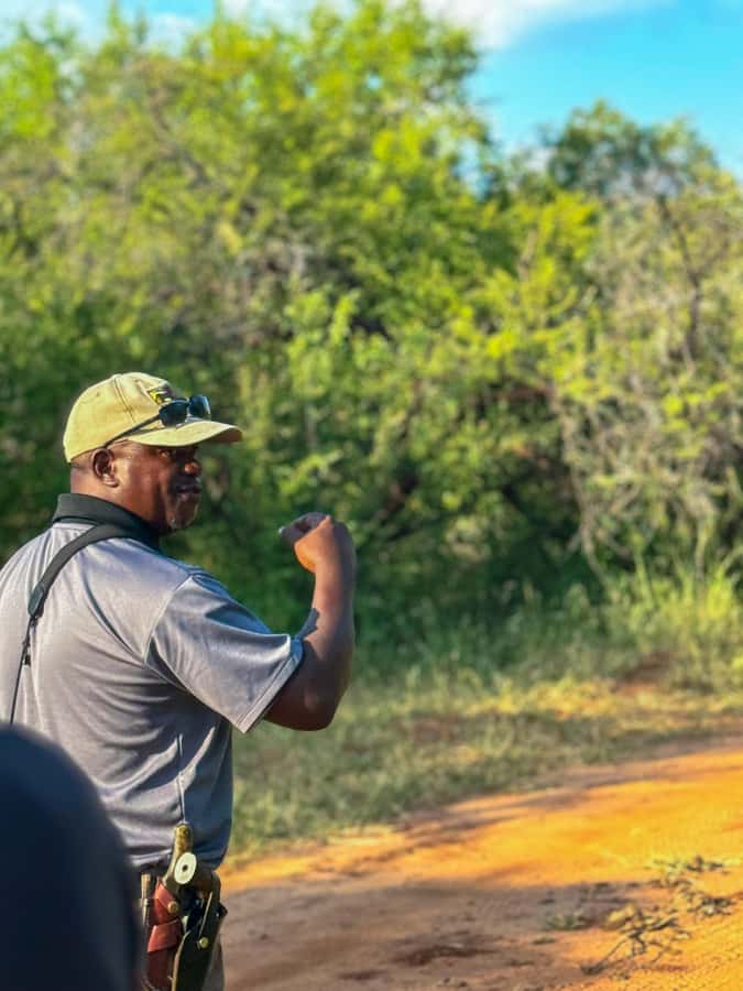 Victoria Falls: Game Walk in the Zambezi National Park - What the guide adds to the walk