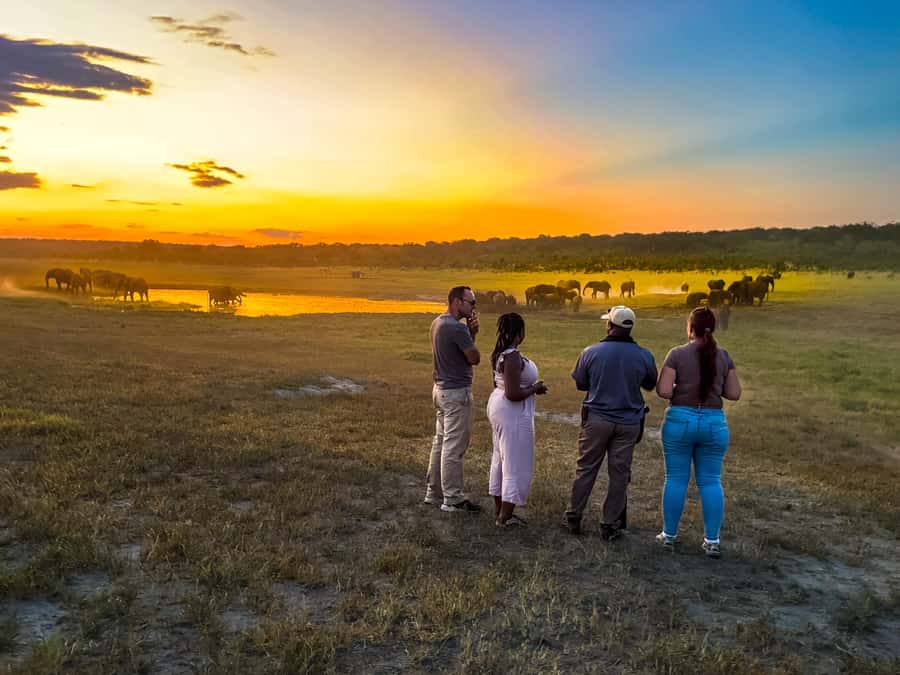 Victoria Falls: Game Walk in the Zambezi National Park - Price, park fees, and what you receive
