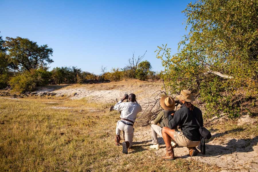 Victoria Falls: Game Walk in the Zambezi National Park - Clothes, fitness, and safety