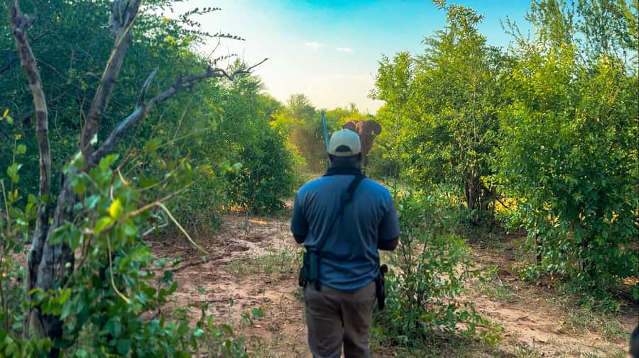 Victoria Falls: Game Walk in the Zambezi National Park - The 15-minute ride from Victoria Falls