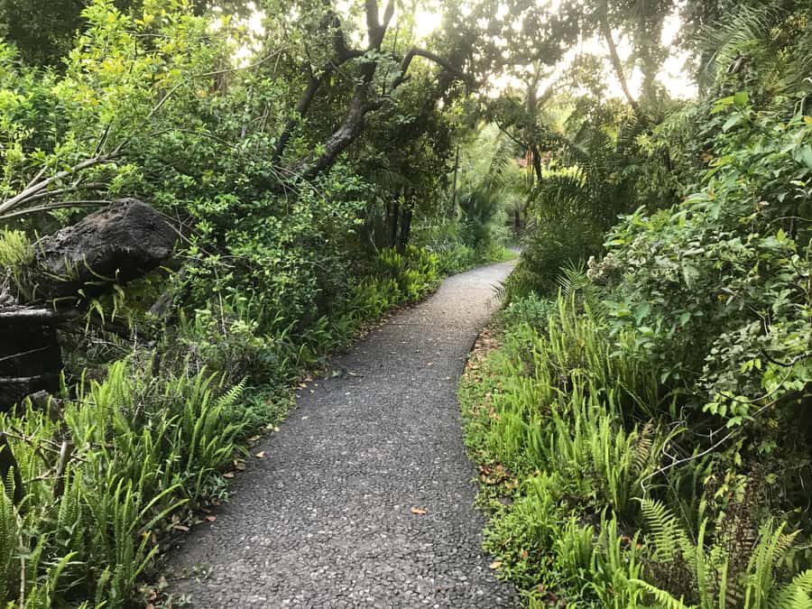 Victoria Falls guided tour - Key points at a glance
