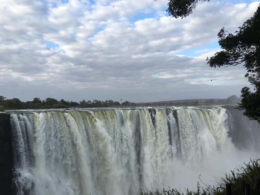 Victoria Falls guided tour - Walking through the rainforest ecosystem