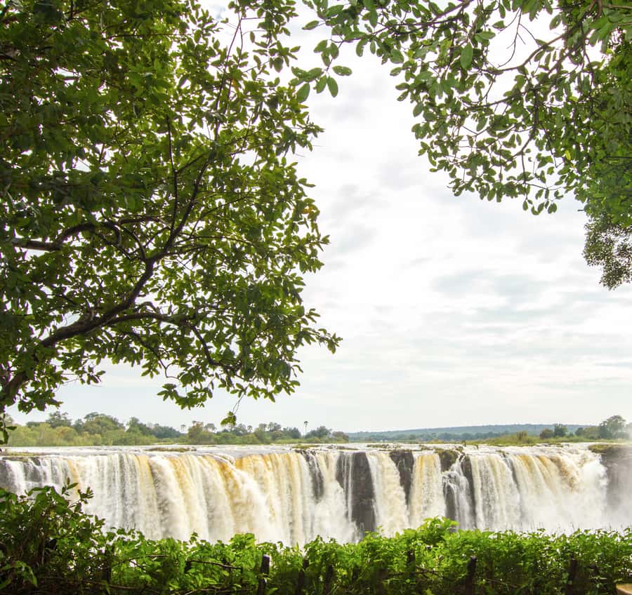 Victoria Falls guided tour - What the guide adds to a short visit