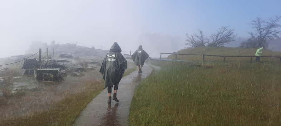 Victoria Falls: Guided tour by local guides - A short walk with a big payoff
